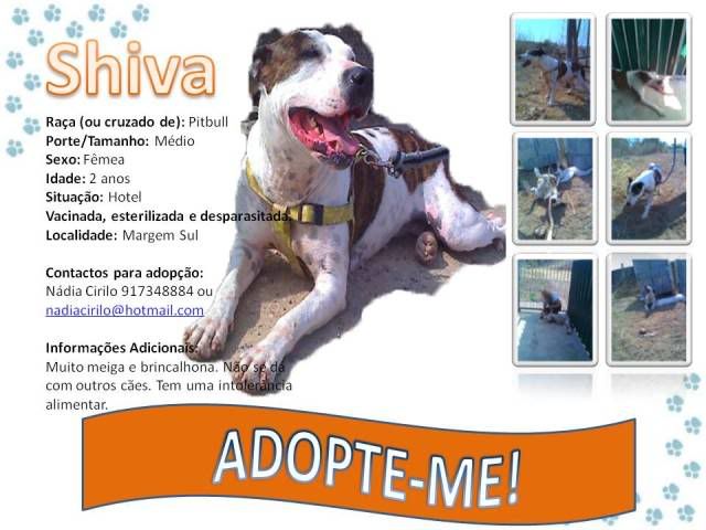 Imagem