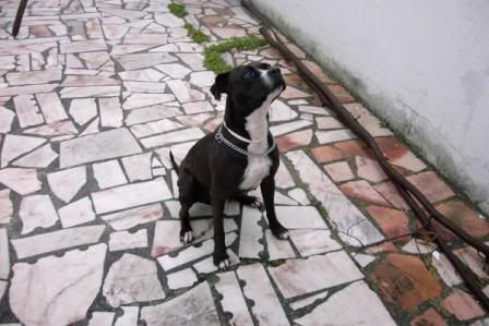 Imagem