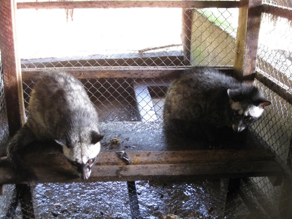 Picture127.jpg Picture127.jpg