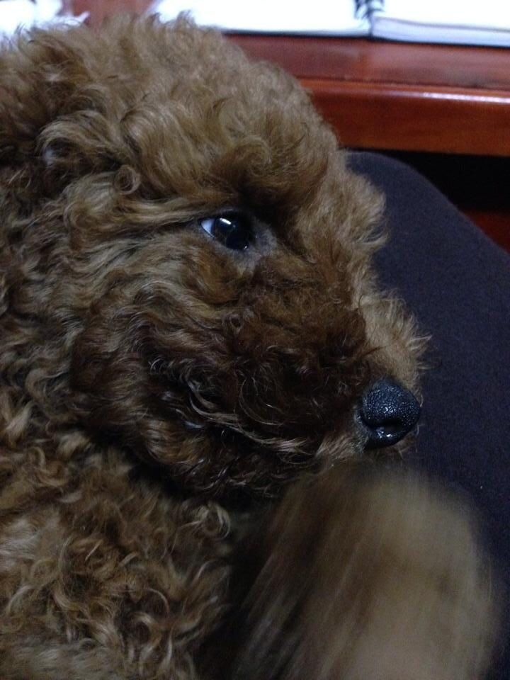 Cảm nhận 10 ngày bên bé Bun. - 4