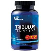 Shopthehinh: Cung cấp sỉ và lẻ 100% Whey Protein, Casein, Amino2222, Serious Mass.... - 21