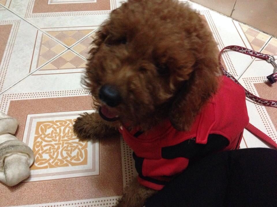 Cảm nhận 10 ngày bên bé Bun. - 3