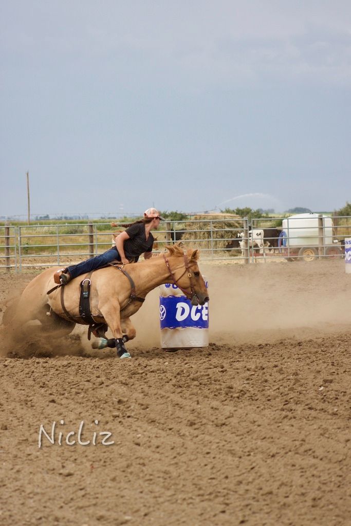  photo IMG_1456-1_zps8yii3ct0.jpg
