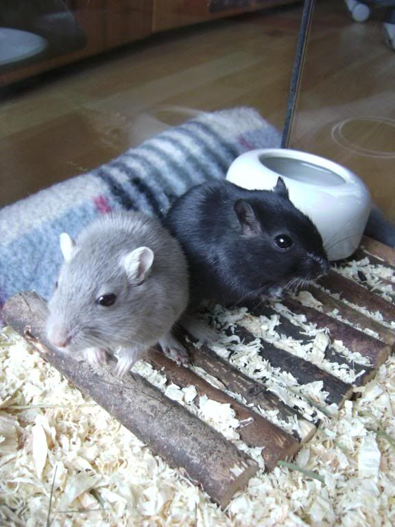 BILD1116.jpg