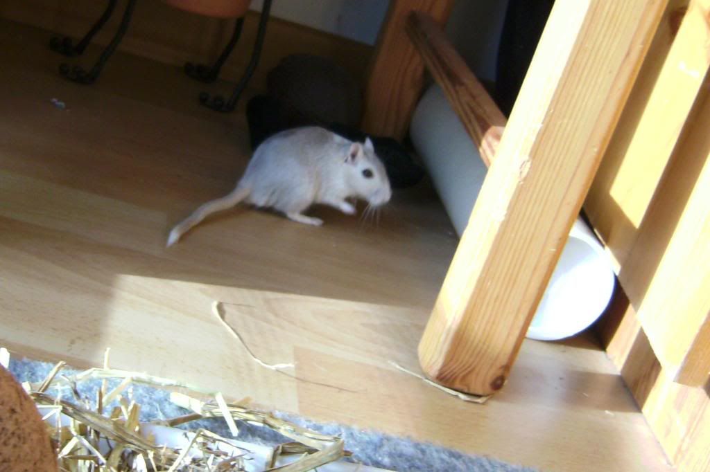 BILD0341.jpg