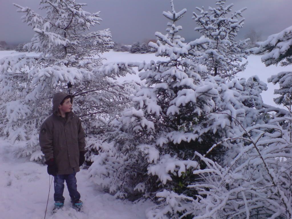 DSC00712.jpg
