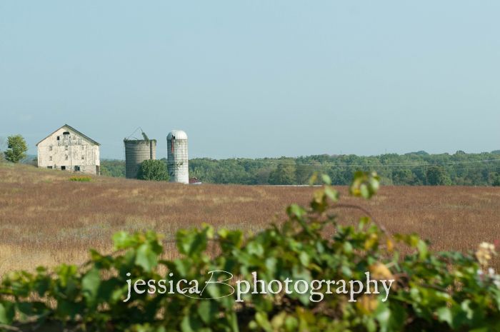 silos maryland