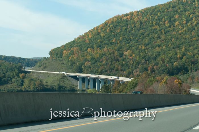 fall color bridge